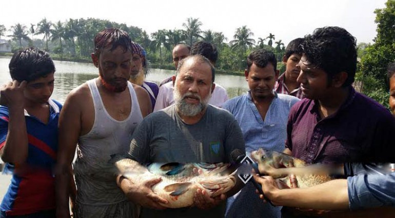 ইসলামী ব্যাংকের এসএমই বিনিয়োগে সফল নাটোরের গোলাম নবী