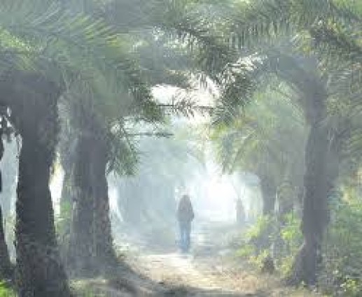 জানুয়ারির মাঝামাঝিতে আসছে শৈত্যপ্রবাহ