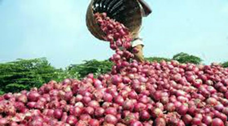 পেঁয়াজের ঝাঁজ কমছেই না