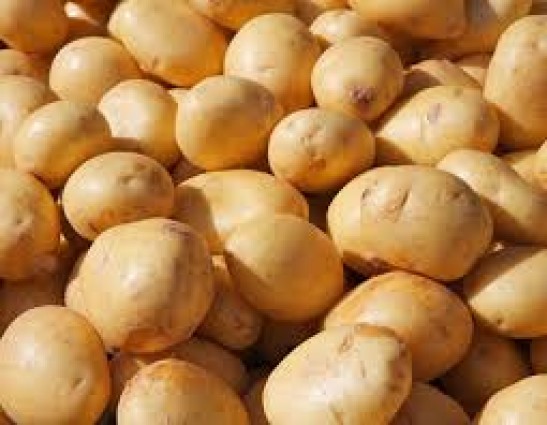 আলুতে আড়াই হাজার কোটি টাকা লোকসানের আশঙ্কা