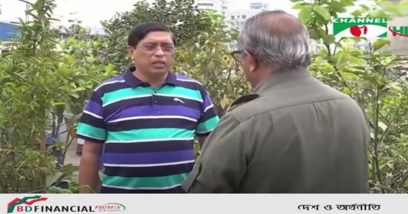 সরকারি বাসভবনের ছাদে কৃষিচর্চা করছেন স্থানীয় সরকার মন্ত্রণালয়ের অতিরিক্ত সচিব মেসবাহউদ্দিন
