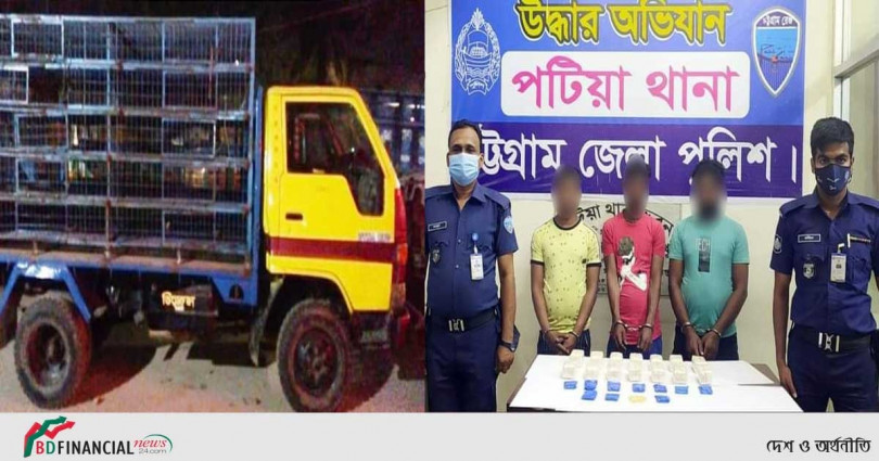মুরগীবহনকারী পিকআপে ৩০০০০ ইয়াবা : পিকআপসহ ৩ জনকে গ্রেফতার করেছে পটিয়া থানা পুলিশ