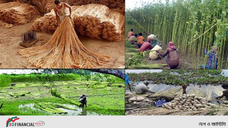 জাতীয় পাট দিবস আজ
