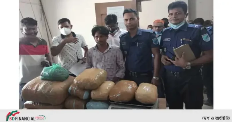 ২৫ কেজি গাঁজাসহ মাদক ব্যবসায়ীকে আটক করলো ফতুল্লা থানা পুলিশ