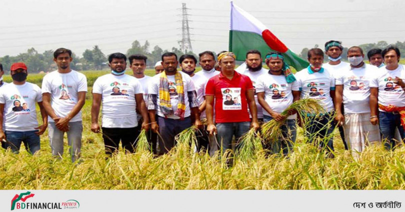 ৪০ জেলায় যুবলীগের ধান কাটা কার্যক্রম