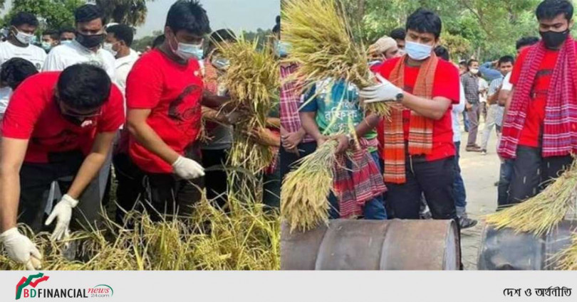 কৃষকের ধান কেটে বাড়িতে পৌঁছে দিলেন জয়-লেখক