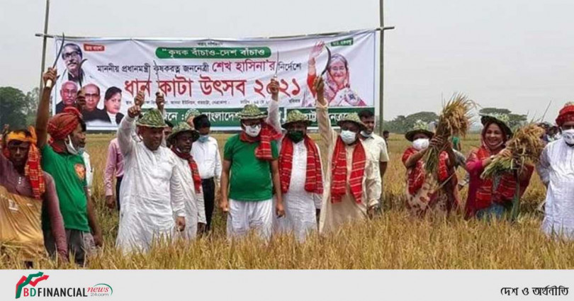 কৃষকের ধান কেটে দিলেন সমাজকল্যাণ প্রতিমন্ত্রী