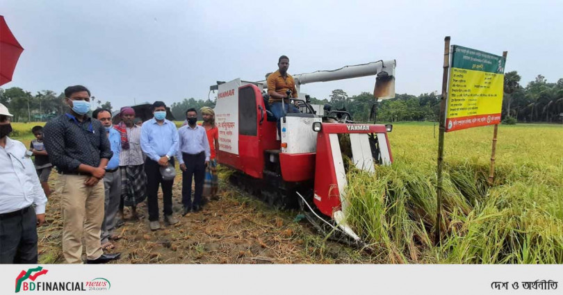 নড়াইলে ধান কাটা উদ্বোধন করলেন জেলা প্রশাসক