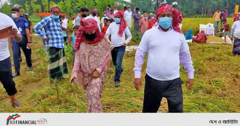 মাদারীপুরে কম্বাইন হারভেস্টার দিয়ে ধান কর্তন