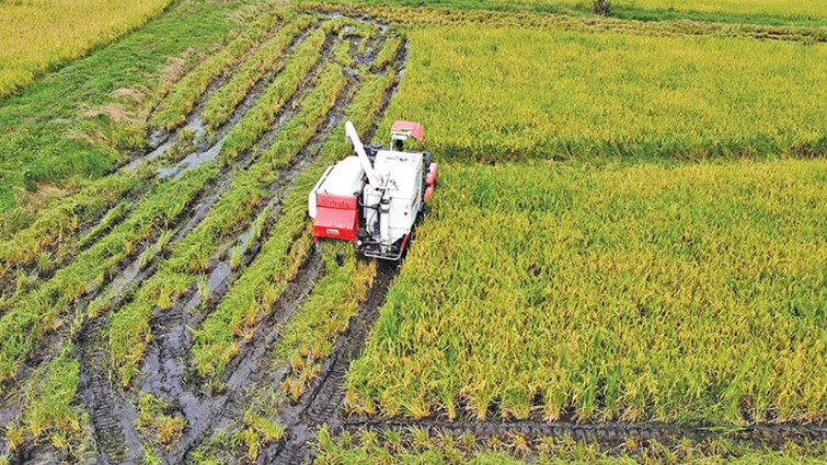 বিশ্ববাজারে খাদ্যপণ্যের দাম বাড়ার শঙ্কা বিশ্বব্যাংকের