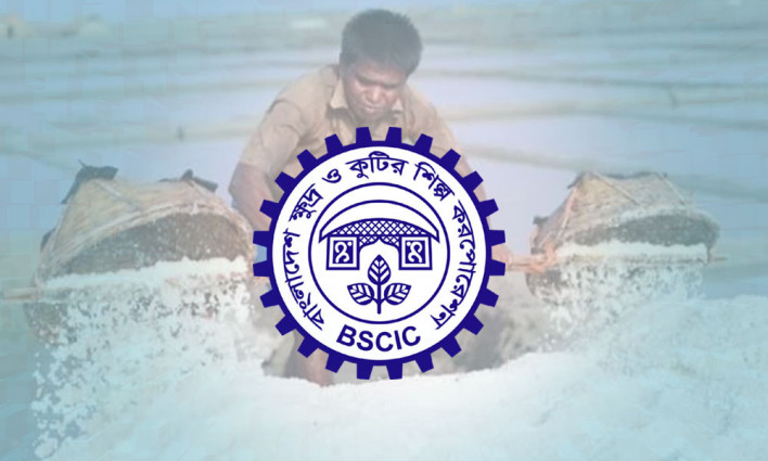 লবণ চাষের ১১৩ একর জমি স্থায়ীভাবে চায় বিসিক