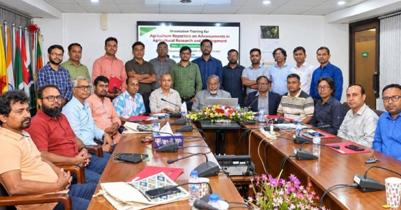 আবাদি জমি কমেছে ৩০%, ধানের উৎপাদন বেড়েছে ৩.৮ গুণ