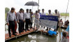 পাবনায় উন্মুক্ত জলাশয়ে দেশীয় মাছের পোনা অবমুক্ত করেছে স্কয়ার এগ্রোভেট
