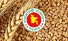 যুক্তরাষ্ট্র থেকে আমদানি করা গমের প্রথম চালান এলো দেশে
