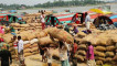 কৃষি বাণিজ্য কেন্দ্র আশুগঞ্জ মোকামে অবকাঠামো সংকট