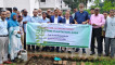 খুবিতে আল-আরাফাহ্ ইসলামী ব্যাংকের বৃক্ষরোপণ কর্মসূচি